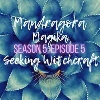 Seeking Witchcraft artwork