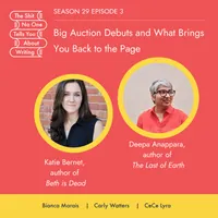 The Shit No One Tells You About Writing artwork