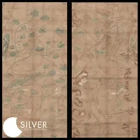 Silver Podcast Network artwork