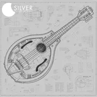 Silver Podcast Network artwork