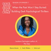 The Shit No One Tells You About Writing artwork