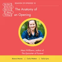 The Shit No One Tells You About Writing artwork