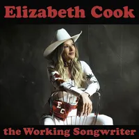 The Working Songwriter artwork