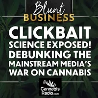 Blunt Business artwork