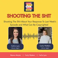 The Shit No One Tells You About Writing artwork