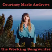 The Working Songwriter artwork