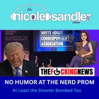 The Nicole Sandler Show artwork
