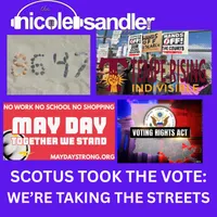 The Nicole Sandler Show artwork