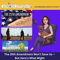The Nicole Sandler Show artwork
