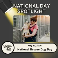 National Day Spotlight | Presented By National Day Calendar artwork