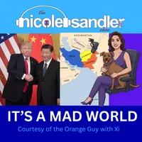 The Nicole Sandler Show artwork