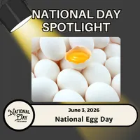 National Day Spotlight | Presented By National Day Calendar artwork