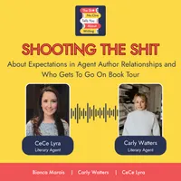 The Shit No One Tells You About Writing artwork