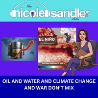 The Nicole Sandler Show artwork