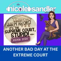 The Nicole Sandler Show artwork