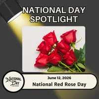 National Day Spotlight | Presented By National Day Calendar artwork