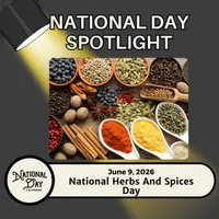 National Day Spotlight | Presented By National Day Calendar artwork