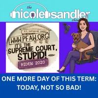 The Nicole Sandler Show artwork