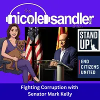 The Nicole Sandler Show artwork