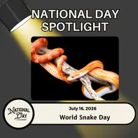 National Day Spotlight | Presented By National Day Calendar artwork