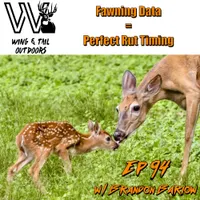 Sportsmen's Empire - Whitetail Hunting artwork