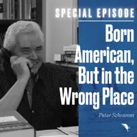 The American Idea artwork