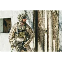 Behind The Shield artwork