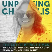 Unpacking Chrysalis: The Art of Being Human artwork