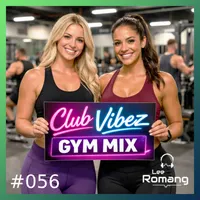 Club Vibez Gym Mix.  Perfect workout music to motivate you. artwork