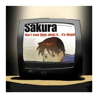CRT Soundsystem artwork