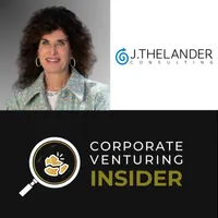 Corporate Venturing Insider artwork