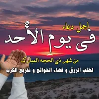 Dr Sh Haifaa Younis Islamic Podcasts artwork