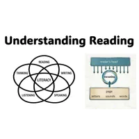 The Reading Instruction Show artwork