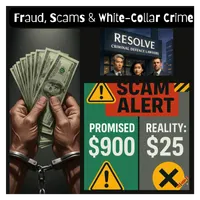 Fraud, Scams & White-Collar Crime artwork