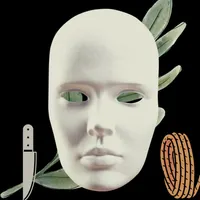 Fraud, Scams & White-Collar Crime artwork