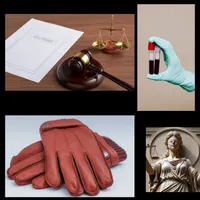 Fraud, Scams & White-Collar Crime artwork