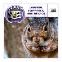 Lydia's Lunch Bunch artwork