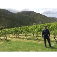 Matthew's World of Wine and Drink artwork