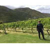 Matthew's World of Wine and Drink artwork