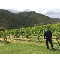Matthew's World of Wine and Drink artwork