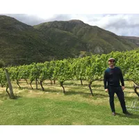Matthew's World of Wine and Drink artwork