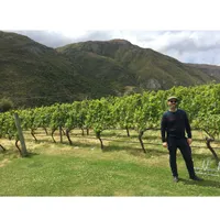 Matthew's World of Wine and Drink artwork