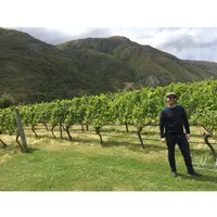 Matthew's World of Wine and Drink artwork