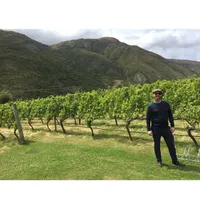 Matthew's World of Wine and Drink artwork