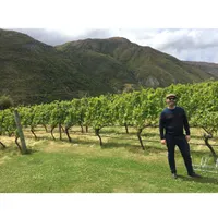 Matthew's World of Wine and Drink artwork