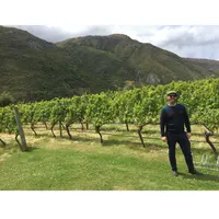 Matthew's World of Wine and Drink artwork