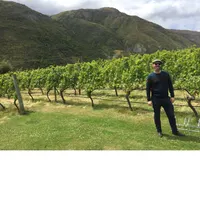 Matthew's World of Wine and Drink artwork