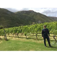 Matthew's World of Wine and Drink artwork