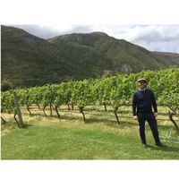 Matthew's World of Wine and Drink artwork