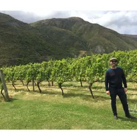 Matthew's World of Wine and Drink artwork
